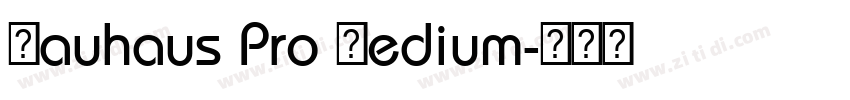 Bauhaus Pro Medium字体转换